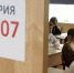 Опубликован проект расписания ЕГЭ-2024 с учетом дней для пересдачи - УГТУ