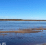 Тело утонувшего подростка из Ухты нашли в 40 м от берега водоема - Pro Город Ухта