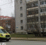 В одном из городов Коми бродячая собака напала на пенсионерку - Pro Город Ухта