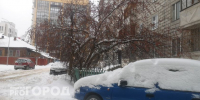 Синоптики рассказали о погоде в Коми на сегодня - Pro Город Ухта