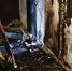 Из горящего многоквартирного дома в Ухте эвакуировались 30 человек - Pro Город Ухта