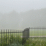 13 сентября в Коми ожидаются дожди и туманы - Pro Город Ухта