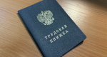 В 2025 году более 9 тысяч подростков из Коми получили временную работу