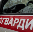 В Коми женщина устроила дебош в баре и была задержана Росгвардией - Pro Город Ухта