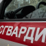 Росгвардия задержала дебошира, напавшего на посетителей бара в Коми - Pro Город Ухта