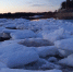Ученые Коми нашли новый вид водоросли - Pro Город Ухта
