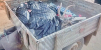 Москвича оштрафовали на 100 тысяч рублей за незаконную охоту на лося в Коми - Pro Город Ухта