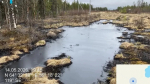 В Коми устраняют последствия аварии на нефтепроводе