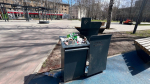 В Коми за год ликвидировали 55 несанкционированных свалок